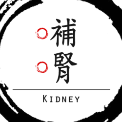 補腎